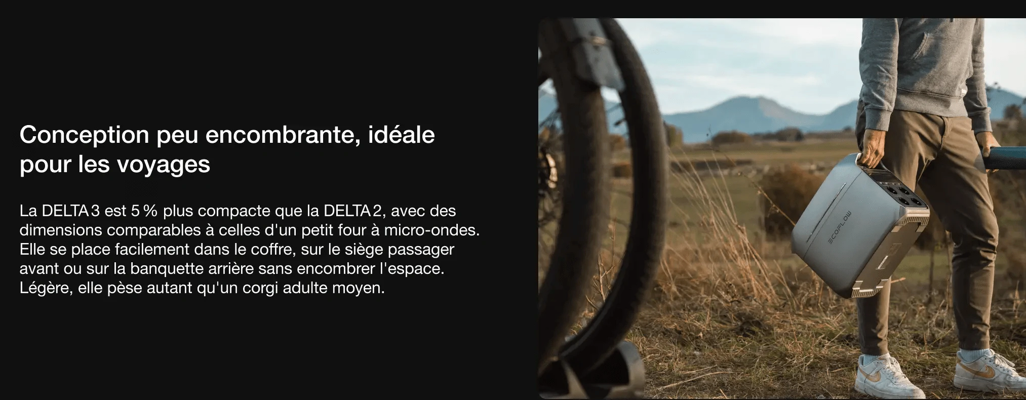 Delta 3 ECOFLOW
